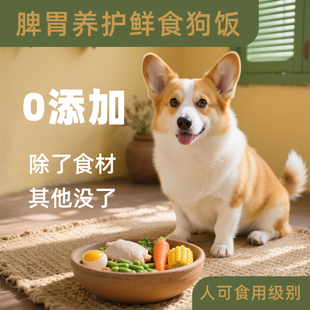 鸡肉果蔬手打粮鲜食狗粮宠物狗狗脾胃养护自制狗饭湿粮主食餐包