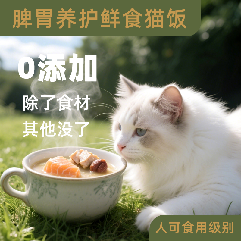 猫咪脾胃养护三文鱼主食鲜食猫饭