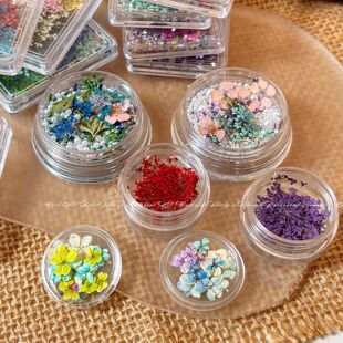 天然干花美甲饰品春日爆款混彩满天星碎花DIY油画五瓣花美甲干花