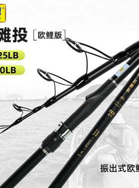 迪佳远滩投欧鲤钓竿大导环库钓远投超硬3.25磅carp竿欧式大物鱼竿