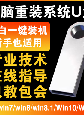 PE系统u盘win10正版7一键装机11安装pe启动纯净版电脑重装windows