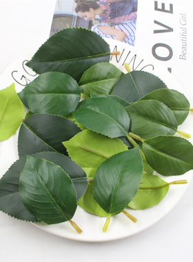 仿真茶花叶片仿真树叶装饰叶子假树条绿色植物布景婚庆花墙装饰品