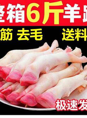 现杀新鲜羊蹄优质白羊蹄绵羊蹄山羊蹄带筋散养羊肉羊脚去毛羊腿