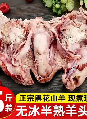新鲜特惠半熟羊头肉带正宗羊排黑脸花脸批发山羊头肉羊杂羊肉