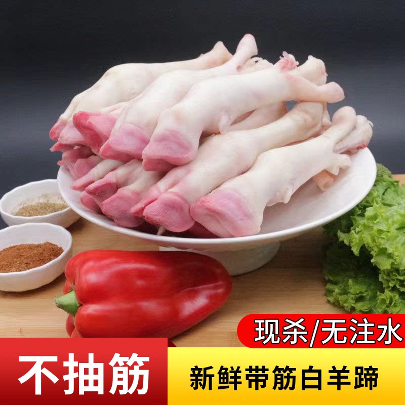 现杀新鲜白羊羊蹄优质山羊白蹄绵羊羔羊带筋散养羊肉羊脚整箱羊腿