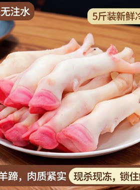5斤装新鲜冷冻白羊蹄山羊蹄绵羊蹄带筋羊蹄羊腿现杀无注水生羊脚