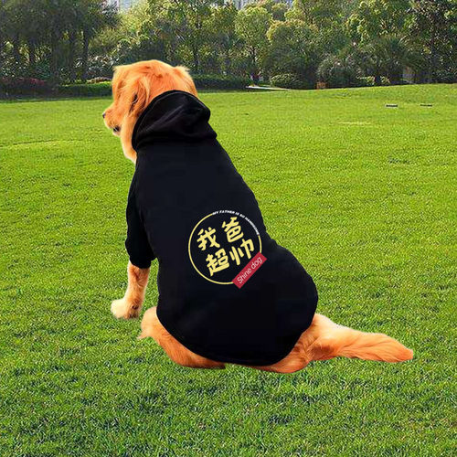 金毛衣服秋冬装大狗边牧马犬德牧