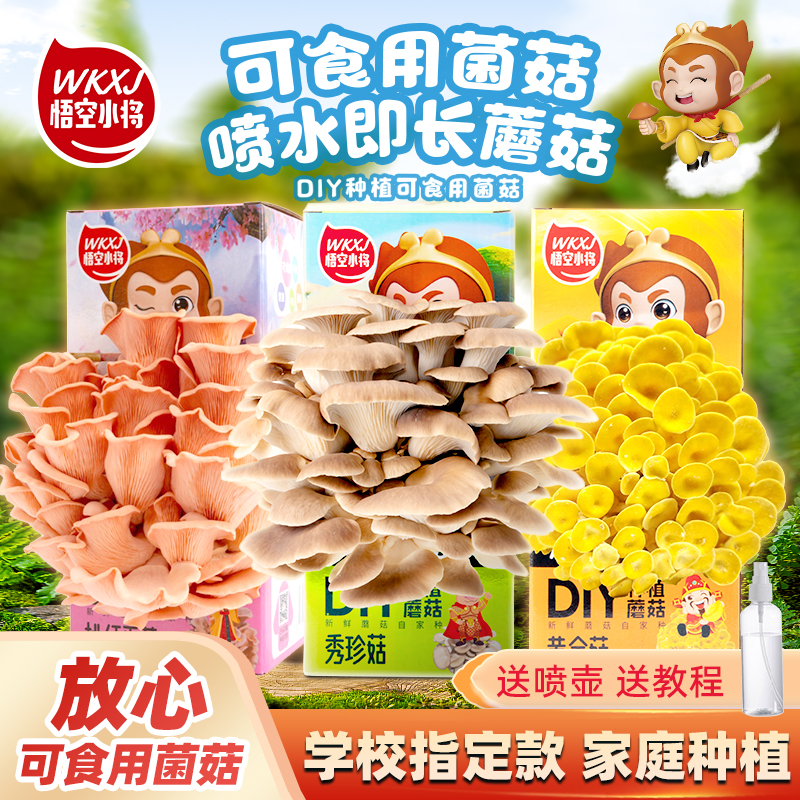 悟空小将蘑菇种植包可食用