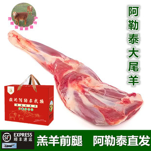 新疆阿勒泰大尾羊 新鲜羊肉精细分割无膻阿勒泰直发 草膘羔羊前腿