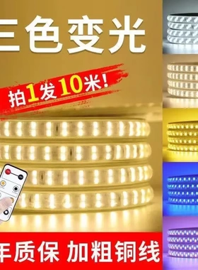 220v高压2835柔性软三色5050rgb霓虹led灯带户外防水5730灯条