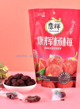 康辉孕妇零食酸甜味怀旧杨梅