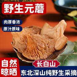 福运达东北特产长白山野生元蘑散装冻蘑圆蘑小鸡炖蘑菇肉厚包邮