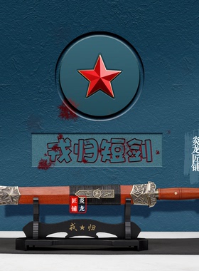 龙泉市戎归短剑汉剑纹钢归荣之剑退伍退役纪念送战友收藏未开刃