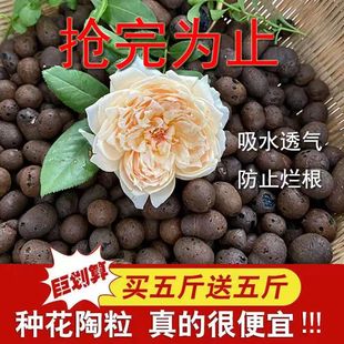 陶粒垫底养花专用多肉营养土花盆花卉回填鱼缸水培铺面火山石颗粒