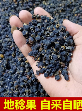 天然野地稔果50g自然晒干地茄子草泡酒铺地锦山地菍地脚菍紫茄子