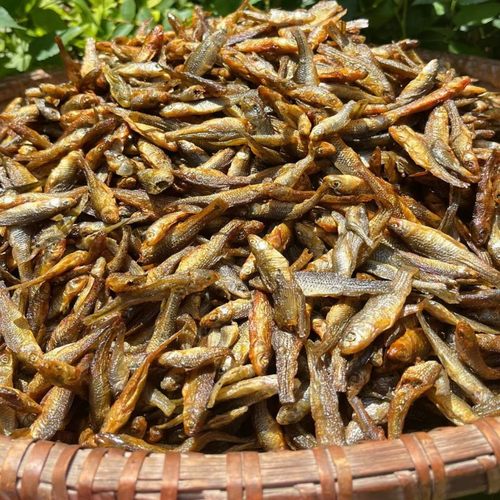 湖南特产肉嫩子鱼干麦穗鱼淡水鱼