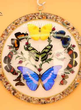 PERU秘鲁进口蝴蝶标本亚马逊珍藏蝴蝶