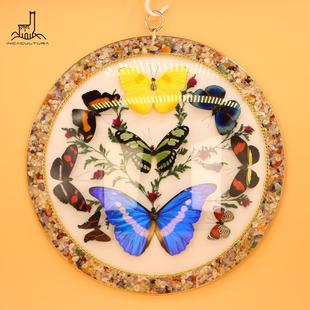 PERU秘鲁进口蝴蝶标本亚马逊珍藏蝴蝶