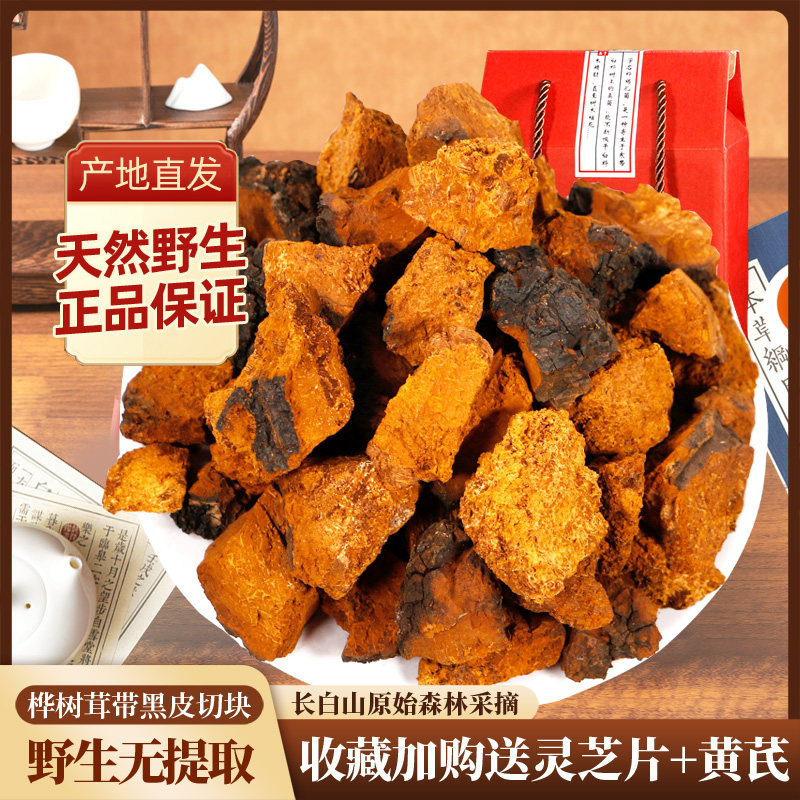桦树茸黑金颗粒野生桦褐孔菌正品白桦茸块泪茶粉菌菇非俄罗斯进口
