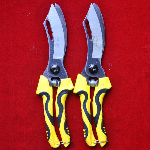 剪蒜剪子修枝剪花枝药材剪蘑菇剪