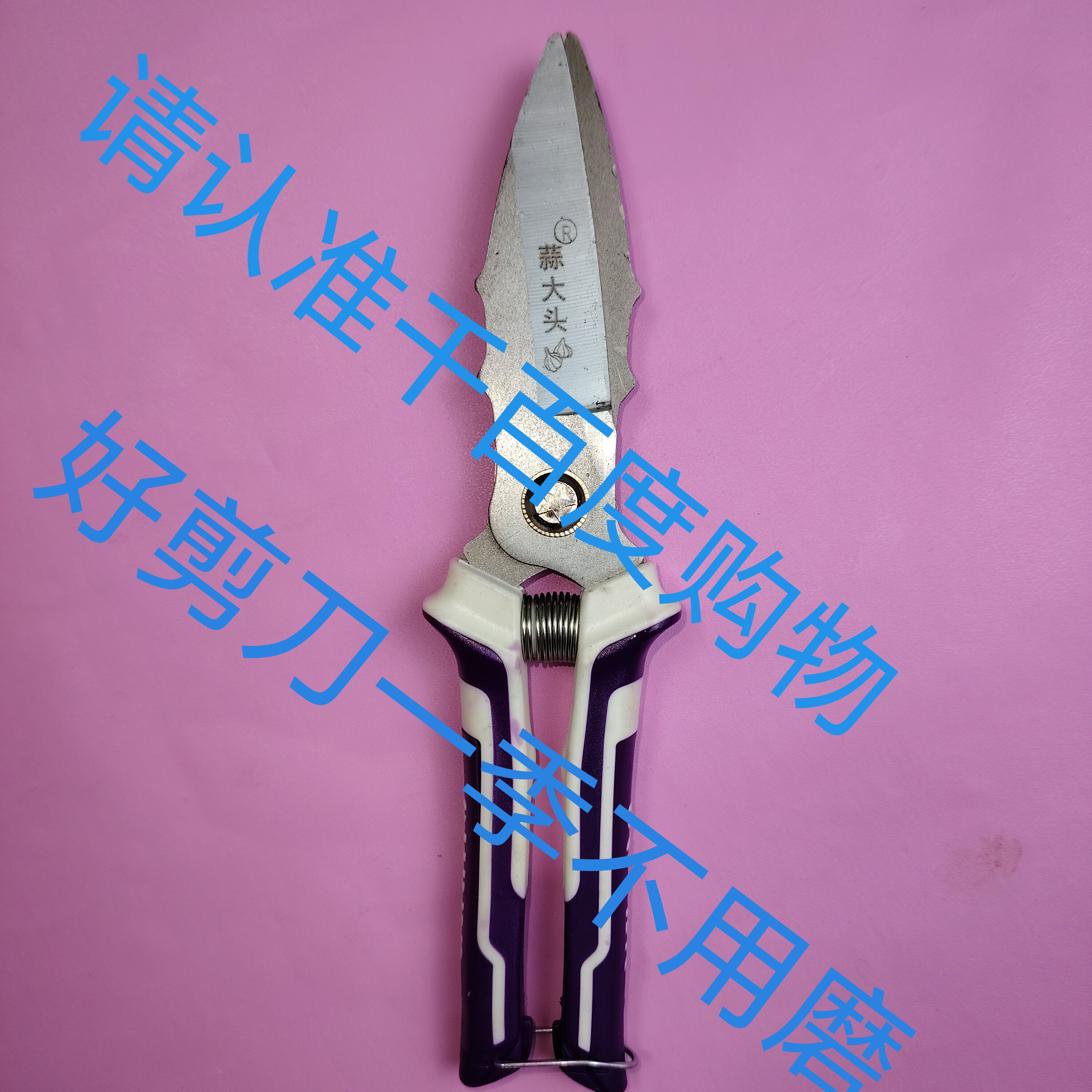 强力大蒜专用剪刀洋葱毛葱辣椒剪子特快锋利免磨