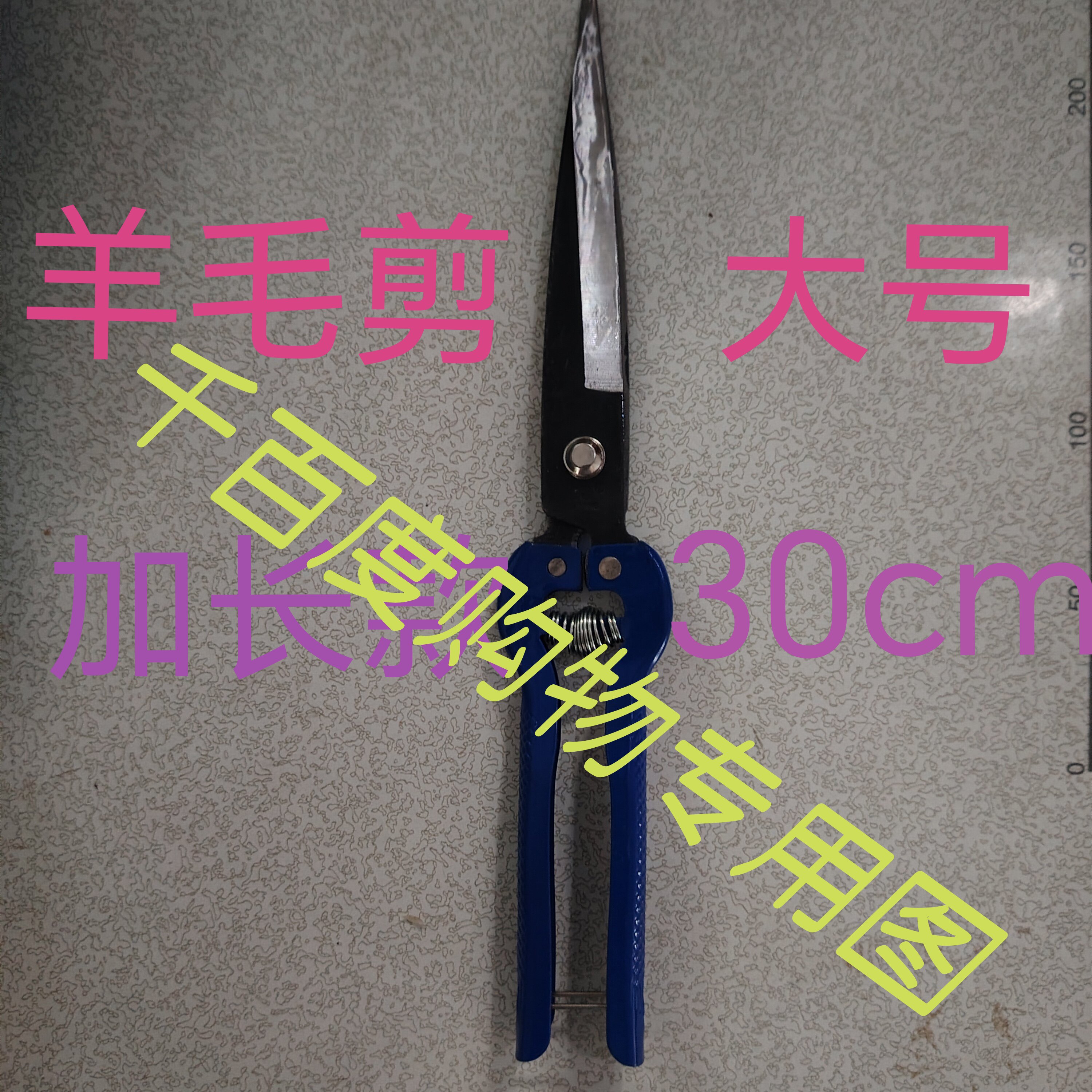 大号羊毛剪子正品吉昌大果剪芦笋剪加长款畜牧养殖专用剪刀特锋利