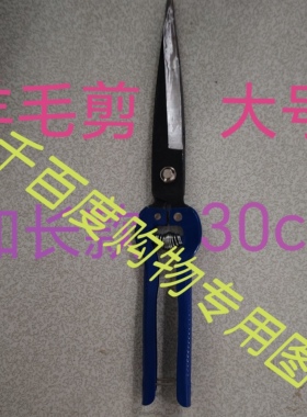 大号羊毛剪子正品吉昌大果剪芦笋剪加长款畜牧养殖专用剪刀特锋利