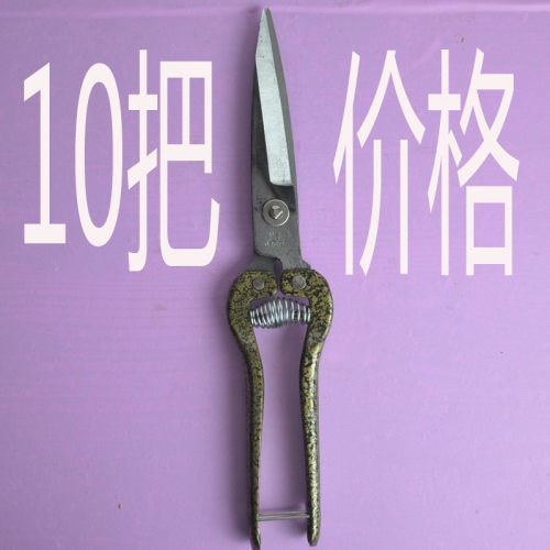 吉昌剪刀大全超快耐用羊毛芦笋