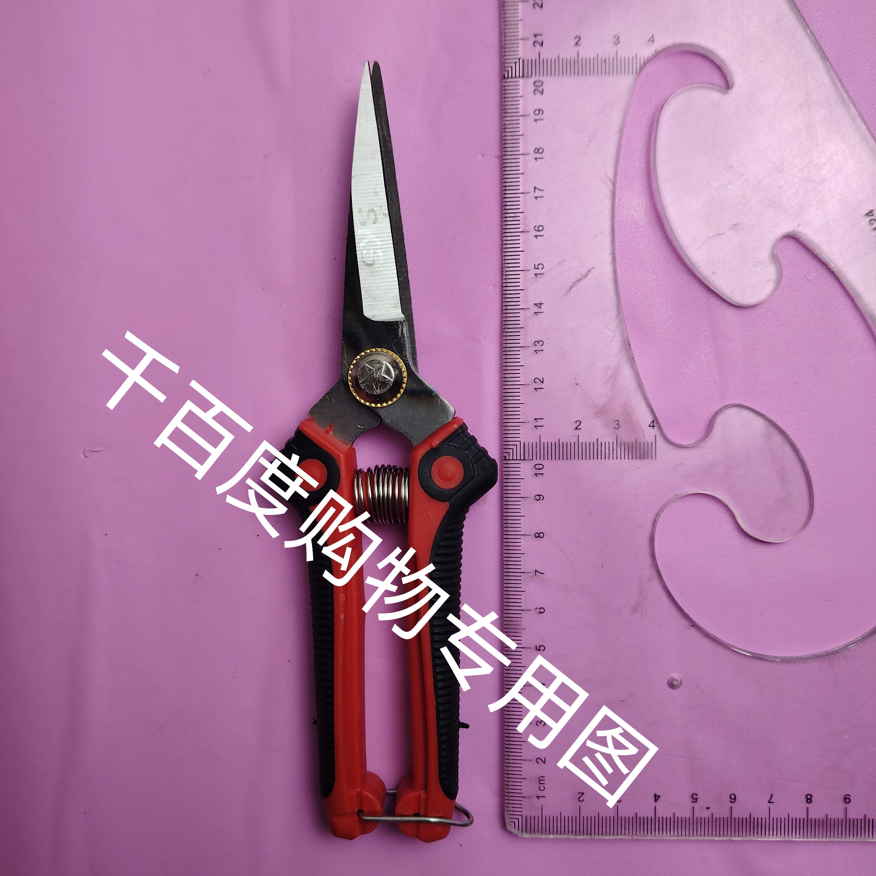 小号大蒜剪刀修枝剪洋葱毛葱剪子家用修花剪园林园艺枝剪摘果剪