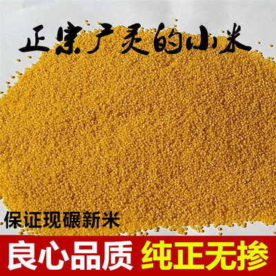 2025年山西黄小米广灵煮粥500g
