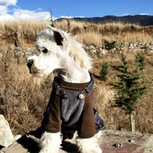 背带裤 扣款 宠物四脚衣秋冬加厚狗衣服 腈纶面料定制款 灯心绒新款