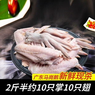 广东鹅掌鹅翅膀鹅腿鹅爪鹅肉新鲜大鹅真空装2斤半约10只掌10只翅