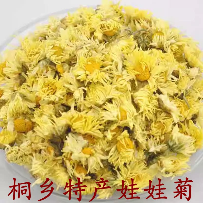 正宗桐乡产地精品杭白菊茶娃娃菊