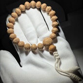 尺寸11mm 同树22颗 2025年尼泊尔正宗小凤眼 厚壁籽 589