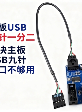 电脑主板9针USB2.0 一分二扩展线 9PIN转双9PIN 稳定 2口同时使用
