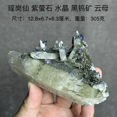 瑶岗仙紫萤石水晶黑钨矿云母 天然矿物晶体标本矿石原石摆件d20