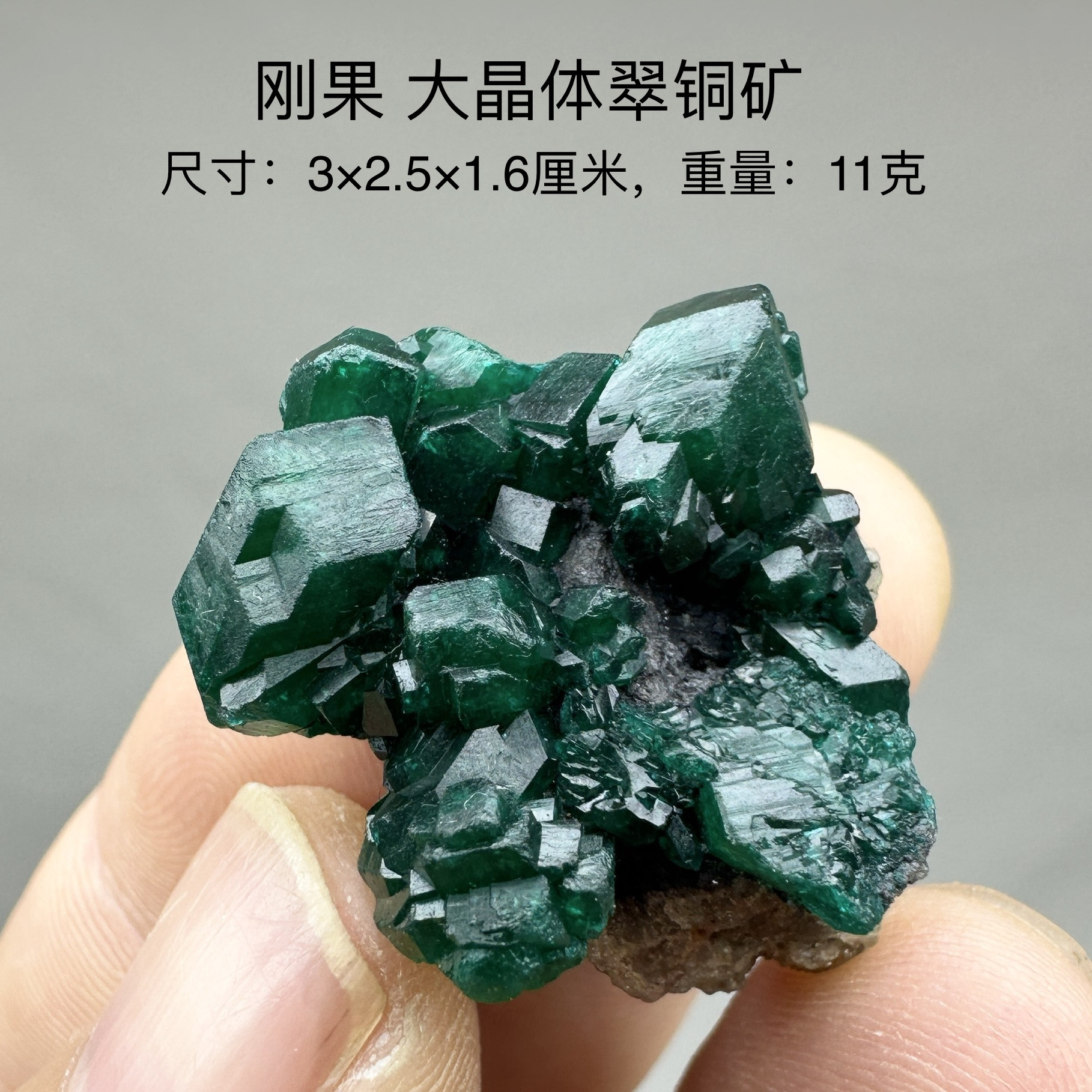 刚果大晶体翠铜矿 天然矿物晶体标本矿石原石收藏石头摆件d41