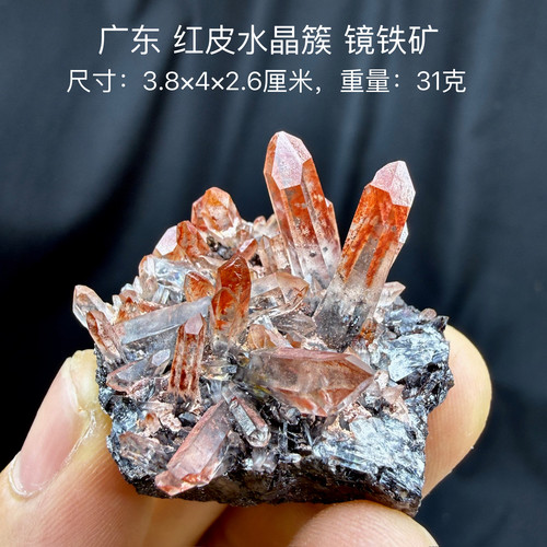 广东金龙红皮水晶镜铁矿 天然矿物晶体标本矿石原石收藏摆件d17