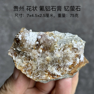 贵州花状氟铝石膏钇萤石 天然矿物晶体标本矿石原石收藏摆件d10