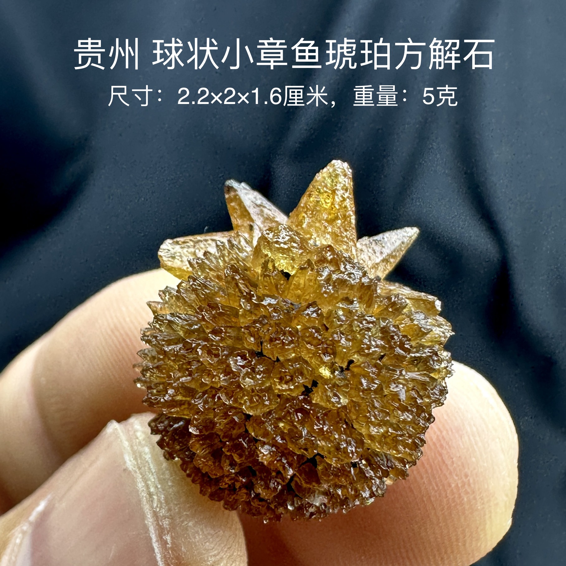 贵州章鱼琥珀方解石 天然矿物晶体标本矿石原石收藏石头摆件d39