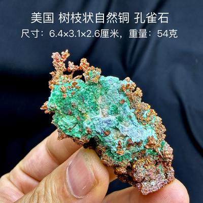 美国树枝状自然铜孔雀石 天然矿物晶体标本矿石原石收藏摆件d28