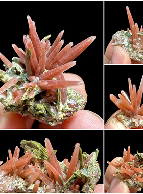 红兔毛水晶簇 胡萝卜红水晶绿帘石共生 矿物晶体精品稀有矿石标本