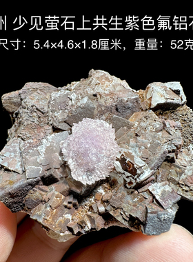 贵州紫色氟铝石膏萤石 天然矿物晶体标本矿石原石收藏石头摆件d34