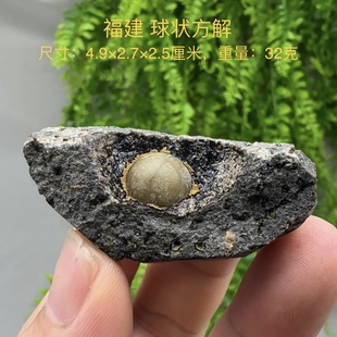 福建元宝球状方解石 天然矿物晶体标本矿石原石收藏石头摆件d08