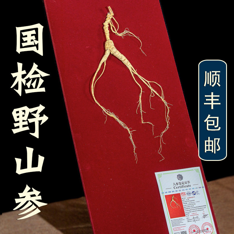 国检一等野山参吉林长白山人参林下参高端礼盒泡酒专用30年非野生