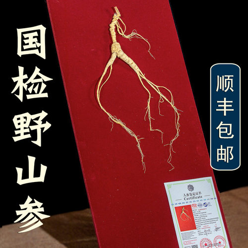 国检一等野山参，25-30年