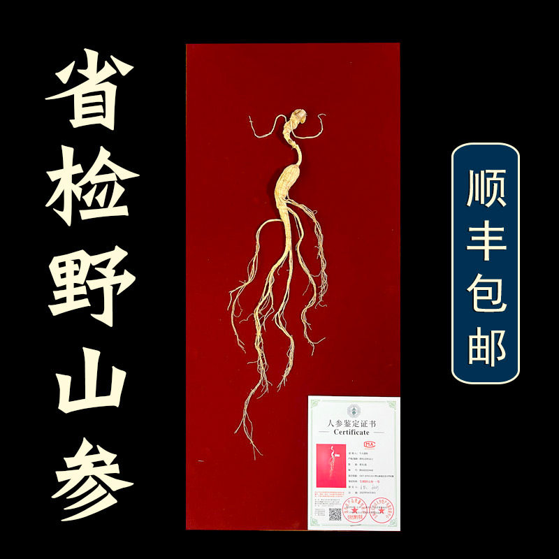 省检一等野山参吉林长白山人参林下参干货粉礼盒泡酒专用二等国检