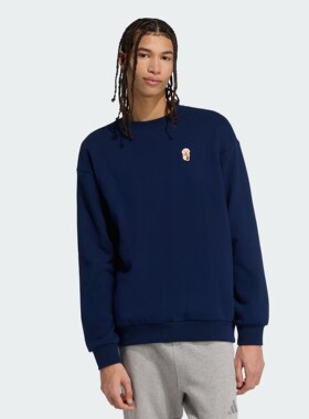 阿迪达斯Adidas男子25年秋款毛圈布圆领套头衫卫衣JX1085 JW8520