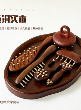 ITSHEYDC黄铜实木经络按摩工具套装面部身体刷头疗梳子家用美容院