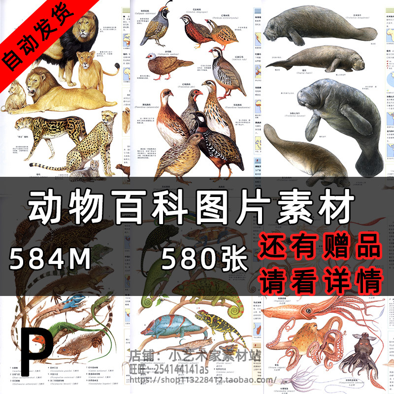 各种动物素材参考图鉴漫画插画绘画游戏cg设计素材p